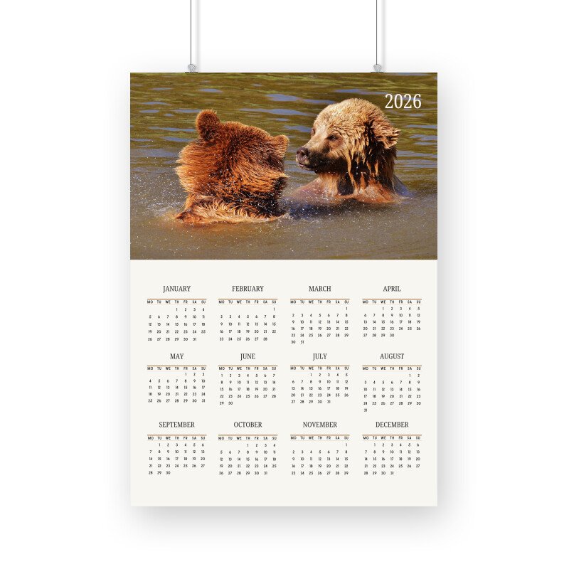 Bear Calendar 2026