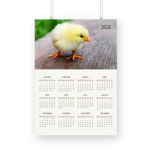 Chick Calendar 2026