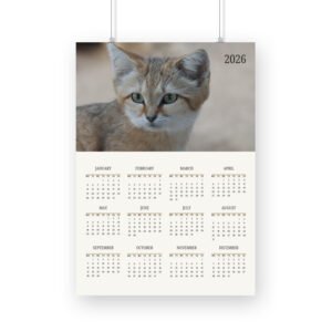 Cat Calendar 2026