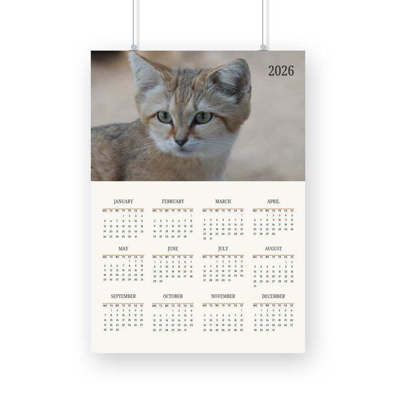 Cat Calendar 2026 - Image 2