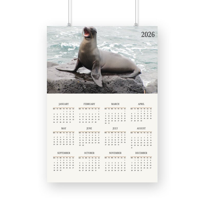 Seal Calendar 2026