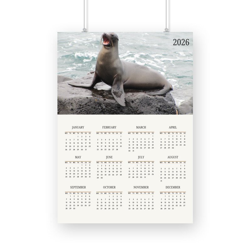 Seal Calendar 2026 - Image 2