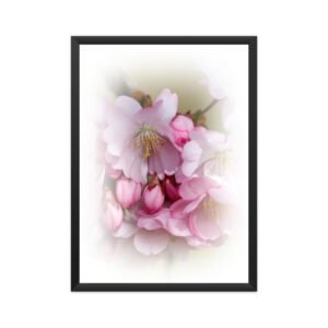 Floral Poster Cherry Blossom 01