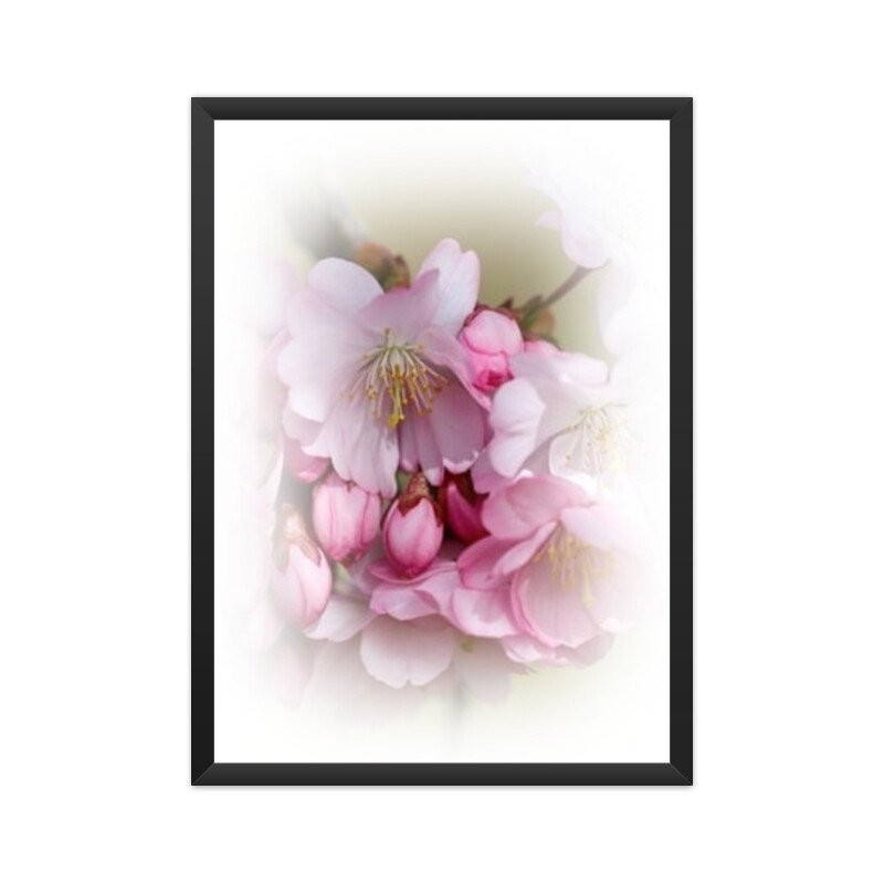 Floral Poster Cherry Blossom 01