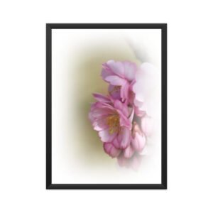 Floral  Poster Cherry Blossom 04