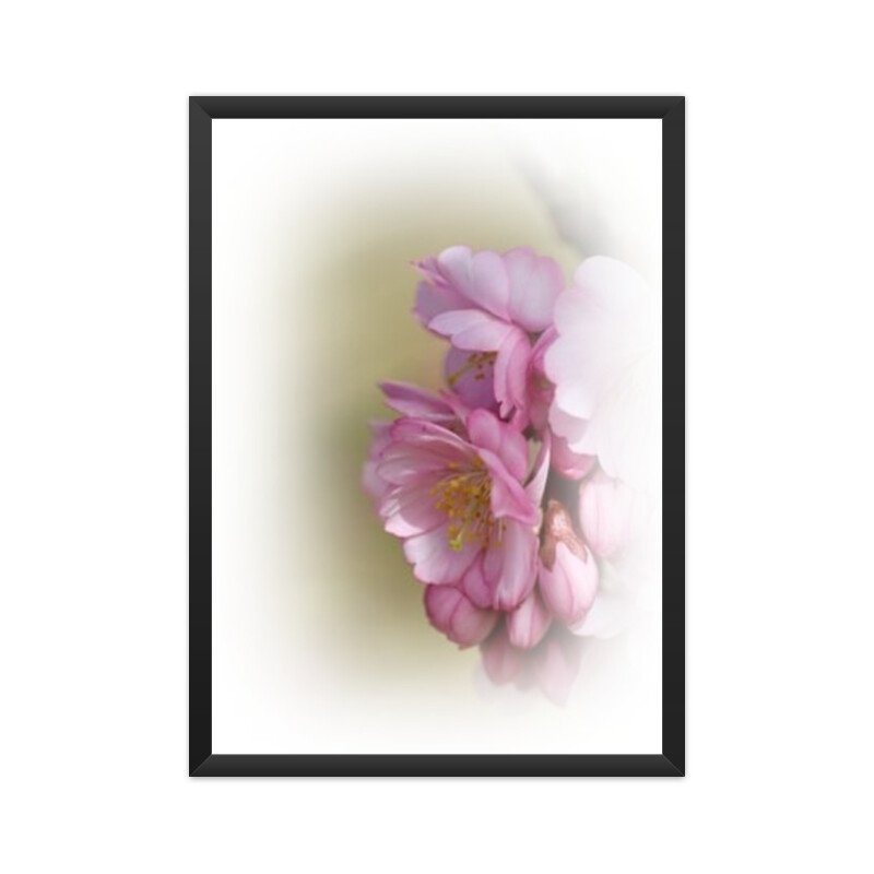 Floral Poster Cherry Blossom 04