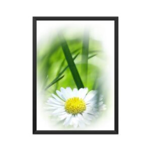 Poster Green BG White Flower