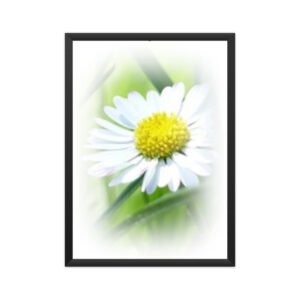 Poster Green BG White Flower 02