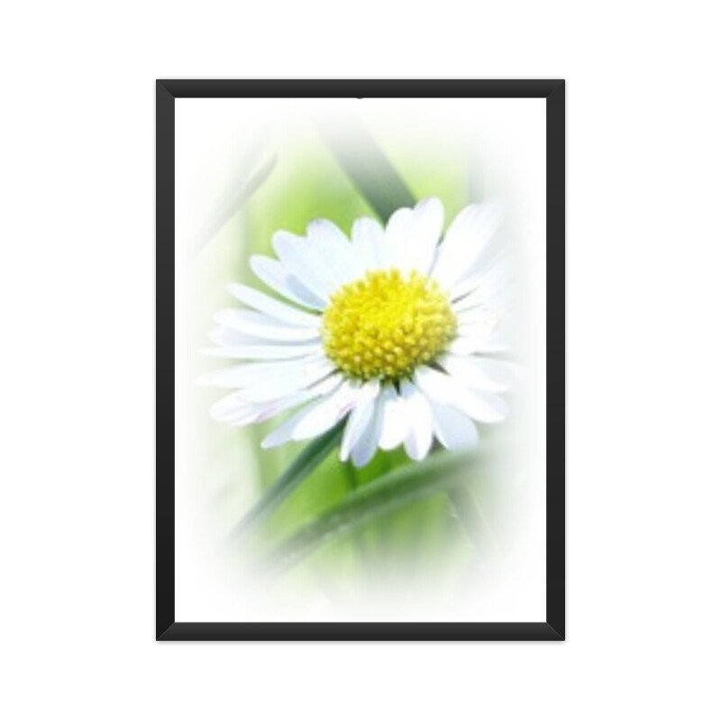 Poster Green BG White Flower 02