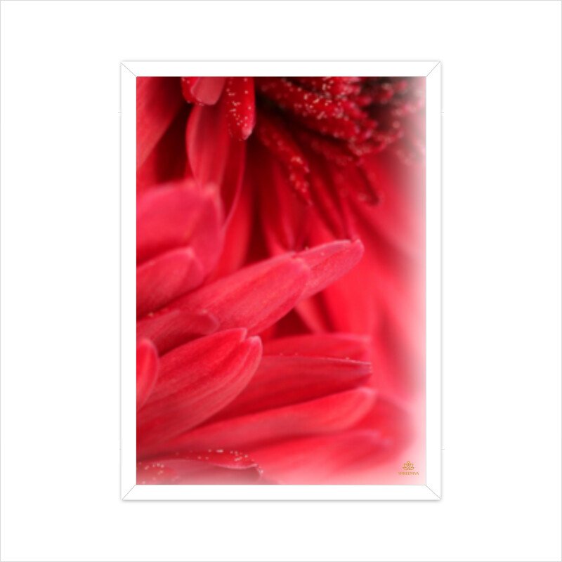 Framed Red Floral Poster 03